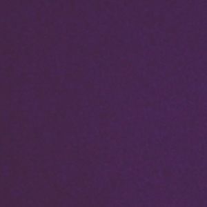 Meet your Posher, Ambria young